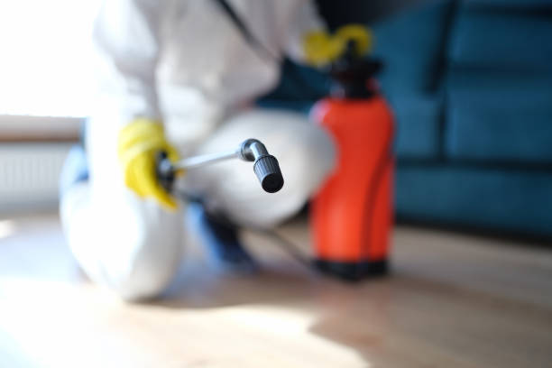 New Bremen, OH Mold Removal Company